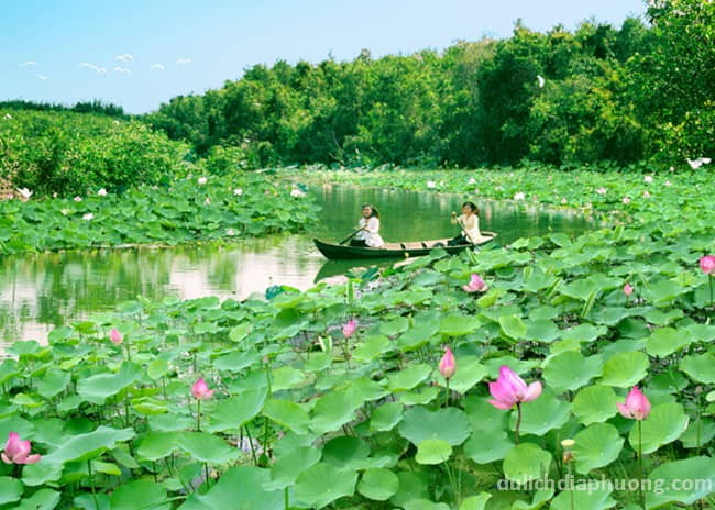 Khu du lịch sinh thái Đồng Sen tháp Mười