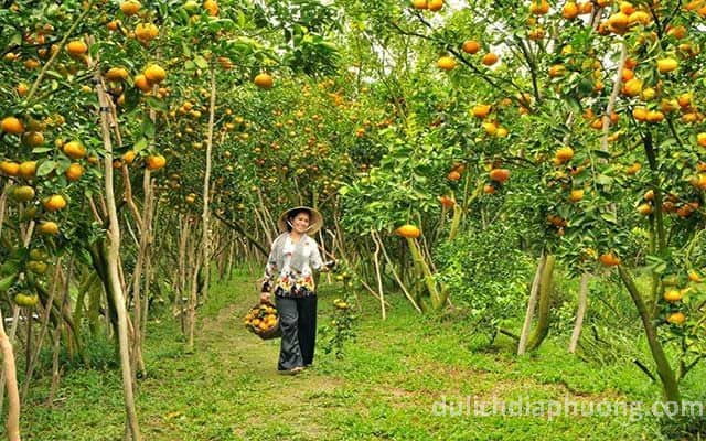 Du lịch Vườn trái cây Vĩnh Kim