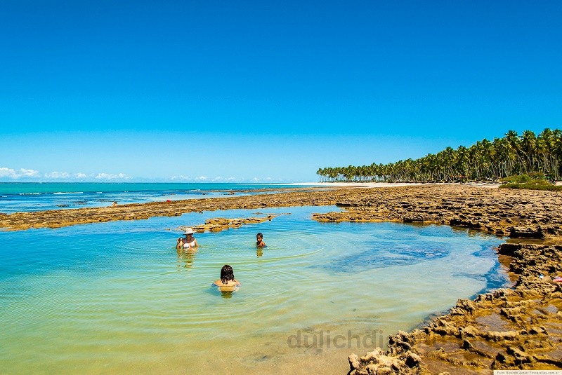 7 địa điểm du lịch Brasil và kinh nghiệm du lịch Brasil