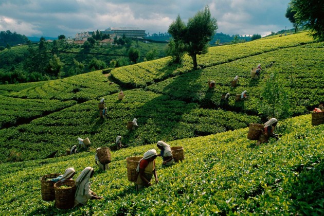 6 địa điểm du lịch Bangladesh và kinh nghiệm du lịch Bangladesh