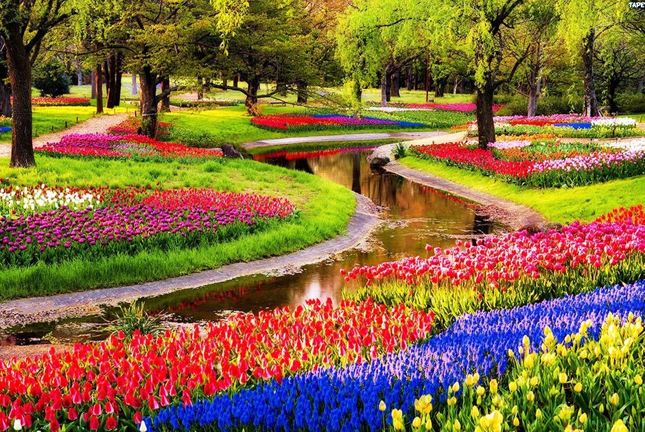 Công viên Keukenhof địa điểm du lịch ở Hà Lan - kinh nghiệm du lịch Hà Lan