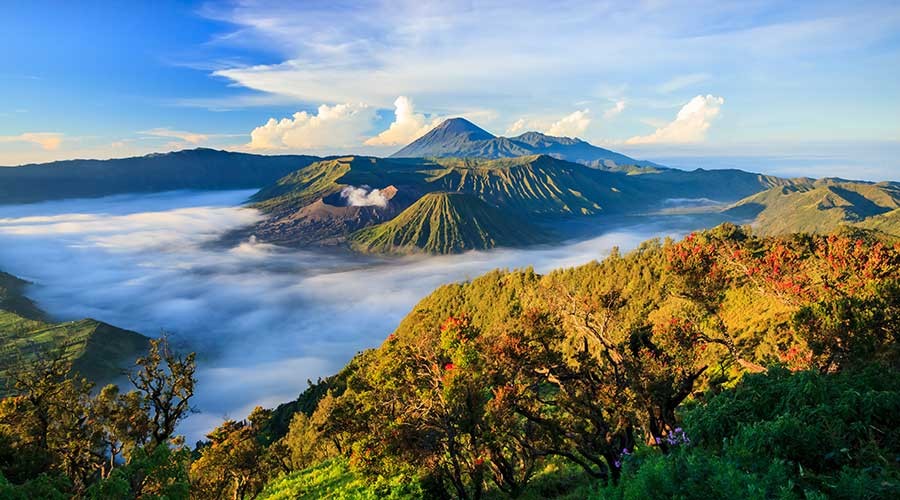Ngọn núi lửa Bromo địa điểm du lịch tại Indonesia