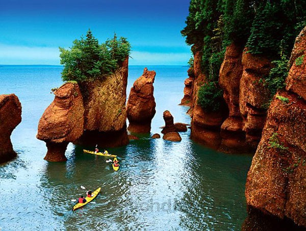 Vịnh Fundy địa điểm du lịch tại Canada