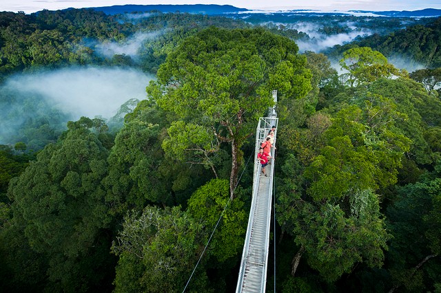 Vườn quốc gia Ulu Temburong địa điểm du lịch tại Brunei